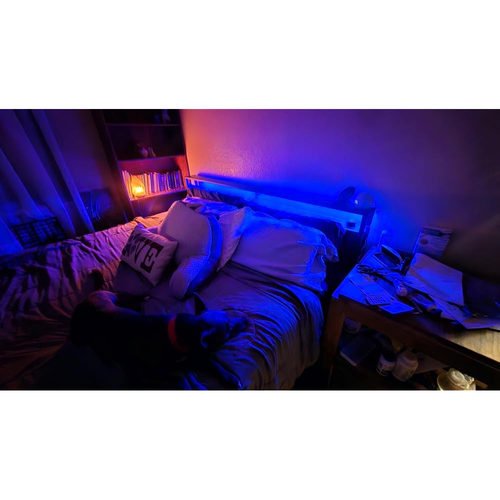 AMERLIFE King Bed Frame with LED Lights & 2-Tier Storage Headboard