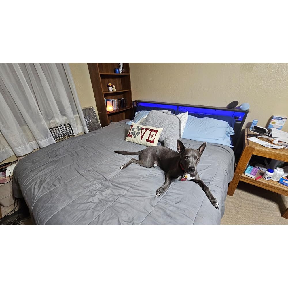 AMERLIFE King Bed Frame with LED Lights & 2-Tier Storage Headboard